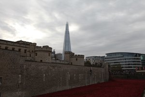 Terras varridas sangue e mares do vermelho, torre de Londres, 2014.