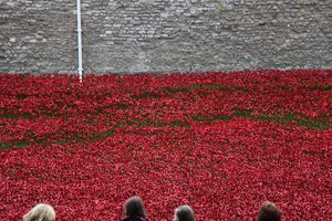 Terras varridas sangue e mares do vermelho, torre de Londres, 2014.