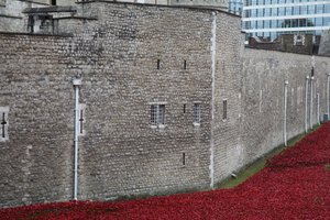 Terras varridas sangue e mares do vermelho, torre de Londres, 2014.