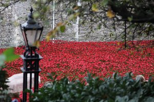Terras varridas sangue e mares do vermelho, torre de Londres, 2014.