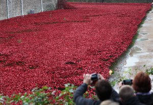 Terras varridas sangue e mares do vermelho, torre de Londres, 2014.