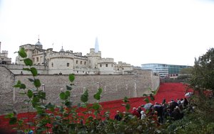 Terras varridas sangue e mares do vermelho, torre de Londres, 2014.