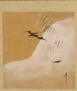 Folha do Álbum de Temas Sazonais: New Ferns, 1847. de Shibata Zeshin