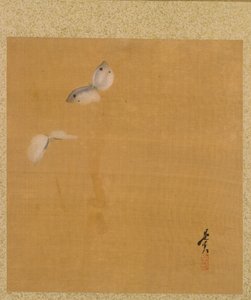 Mariposas do Álbum de Pinturas do Venerável Zeshin de Shibata Zeshin