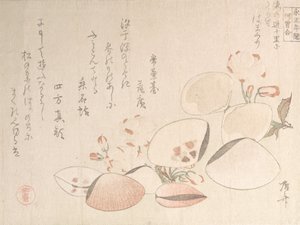 Cerejeiras em flor e conchas, século XIX., século XIX.