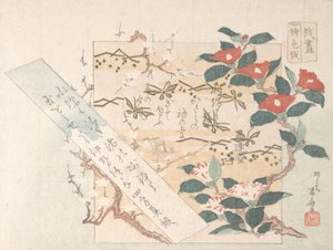 Desenhos de papel de carta com flores, séc. XIX., séc. XIX.