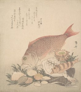Peixes grandes e pequenos nadando entre conchas e musgos no fundo do mar, ca. 1830., c. 1830.