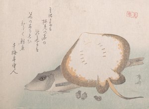 Stingray e Gurnard, provavelmente 1815., provavelmente 1815. de Shinsai