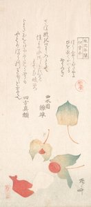 Cerejas de inverno. de Shinsai