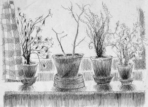 Plantas mortas no peitoril da janela, 1952. de Shirley Markham