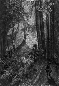 Pirata na floresta tropical, 1953. de Shirley Markham