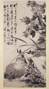 Hibiscus, Lotus e Rock, ca. 1705-7.