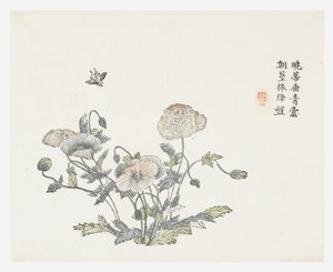 Jardim de Sementes de Mostarda de Shun Kung Chien