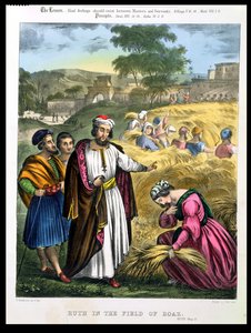 Rute no campo de Boaz, de uma bíblia impressa por Edward Gover, de 1870