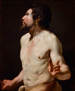Estudo da Pintura do tronco da escola de Simon Vouet (1590-1649) (pintura) de Simon (circle of) Vouet