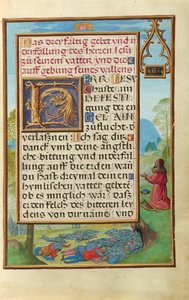 Rand mit David, der Gott anfleht, die Pest zu beenden de Simon Bening