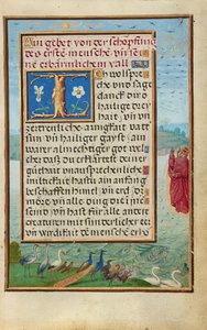 Bordüre mit der Erschaffung von Vögeln und Fischen de Simon Bening