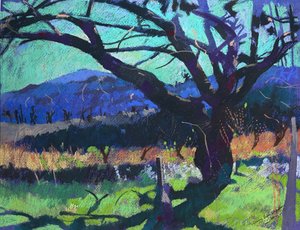 Sombra de cerejeira, 2000 (pastel) de Simon Fletcher