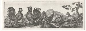 Aves Pássaros e insetos (título da série) de Simon Frisius