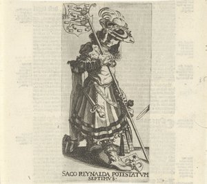 Saco Reinalda de Simon Frisius