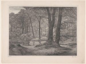 Floresta com lago e homem reclinável
Floresta de Teutoburg (cenário florestal) (título original)