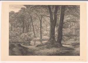 Vista dos Hunnenschans no Veluwe O Hunnenschang (título original)