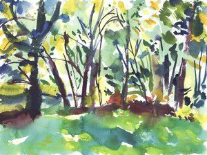 Jardim e zona húmida (aguarela sobre papel)
