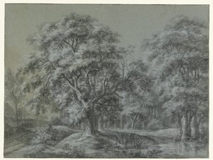Paisagem florestal com água de Simon de Vlieger