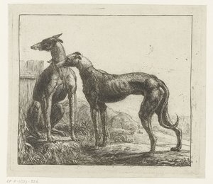 Dois galgos Animais diferentes (título da série) Kite Bugs (título da série) de Simon de Vlieger