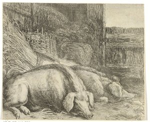 Dois porcos
Vários animais (título da série)
Abelhas do papagaio (título da série) de Simon de Vlieger