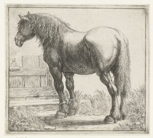 Cavalo de carga em uma cerca Animais diferentes (título da série) Kite Bugs (título da série) de Simon de Vlieger