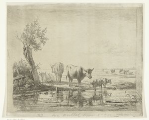 Paisagem de pastagem com vacas perto da água