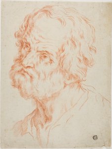 Cabeça Masculina de Simone Cantarini