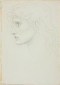Cabeça de garota voltada para a esquerda de Sir Edward Burne Jones