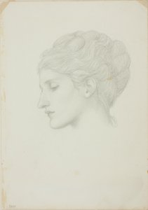 Cabeça de mulher de perfil para a esquerda de Sir Edward Burne Jones