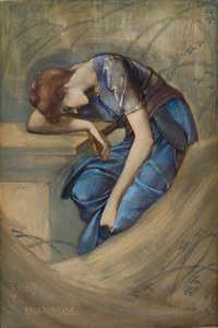 The Briar Rose Series - Estudo para 