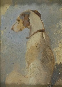 Estudo de um Greyhound