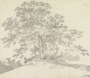 Árvore de Sir George Howland Beaumont seventh Baronet