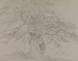 Estudo das árvores de Sir George Howland Beaumont seventh Baronet