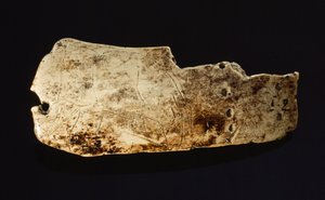 A imagem de um mamute é esculpida num marfim de mamute pré-histórico. de Sisse Brimberg