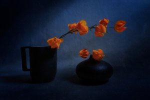 Natureza morta com lanternas de outono de Siyu_Wei APA