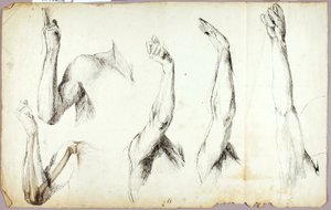 Estudos de Braços, #2