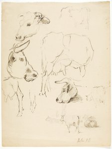 Vacas