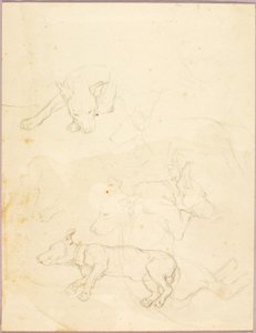 Cães de Solon H. Borglum