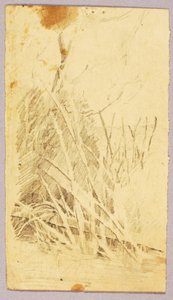 Folhagem de Solon H. Borglum