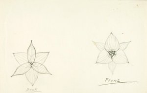 Estrutura da flor de Solon H. Borglum