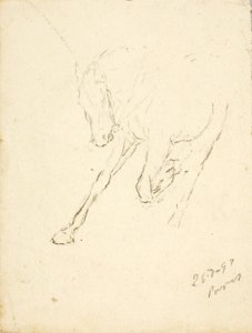 Cavalo de Solon H. Borglum