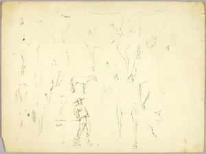 Estudo do cavalo de Solon H. Borglum