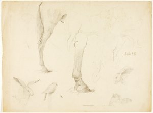 Estudo de cavalos e coelhos de Solon H. Borglum