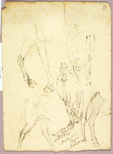 Cavalos de Solon H. Borglum